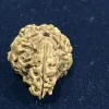 4 Mukhi Rudraksh - Image 2
